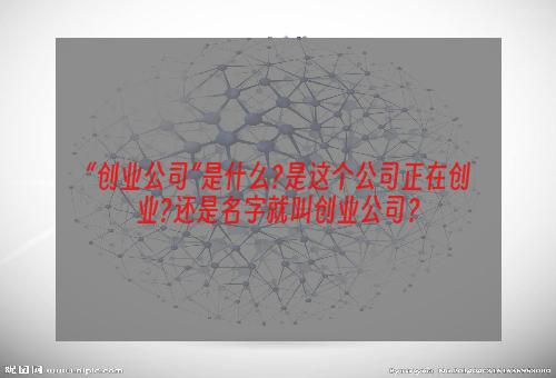 “创业公司”是什么?是这个公司正在创业?还是名字就叫创业公司？