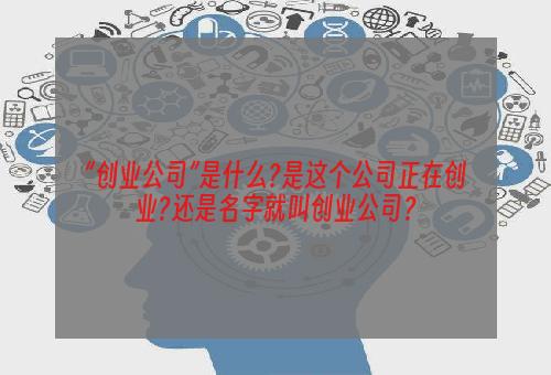 “创业公司”是什么?是这个公司正在创业?还是名字就叫创业公司？