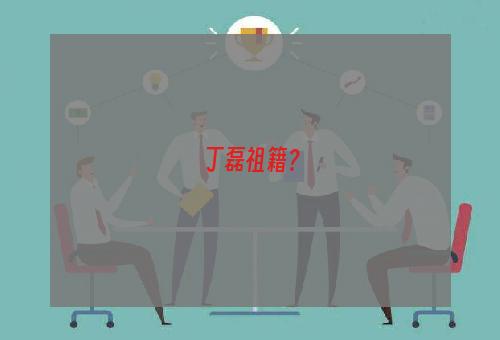 丁磊祖籍？