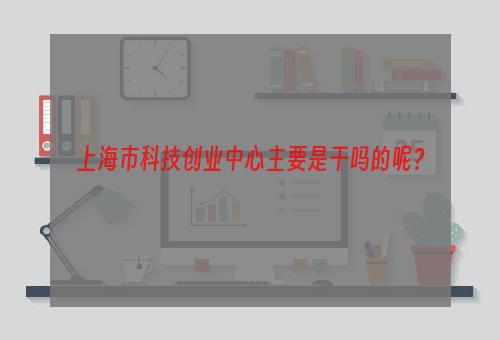 上海市科技创业中心主要是干吗的呢？