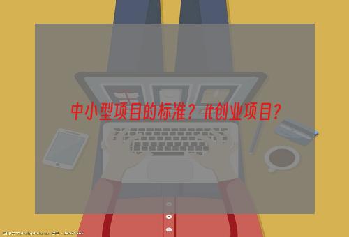中小型项目的标准？ it创业项目？