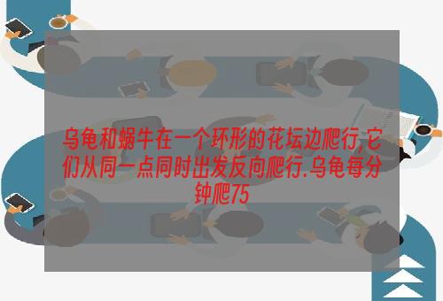 乌龟和蜗牛在一个环形的花坛边爬行,它们从同一点同时出发反向爬行.乌龟每分钟爬75