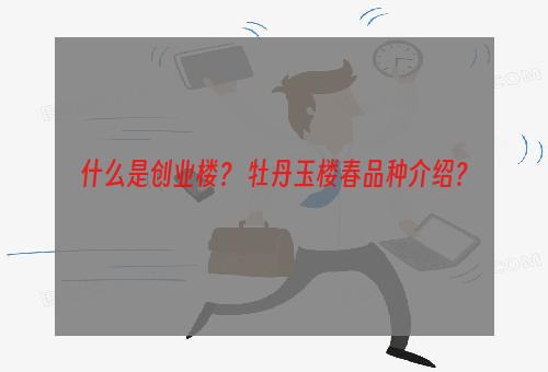 什么是创业楼？ 牡丹玉楼春品种介绍？