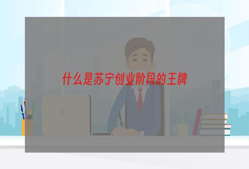 什么是苏宁创业阶段的王牌