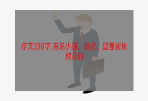 作文350字,有说小猫、骆驼、狐狸和玫瑰花的
