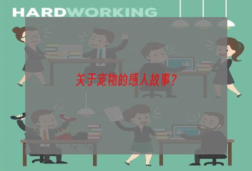 关于宠物的感人故事？