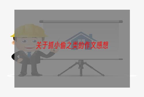 关于抓小偷之类的作文感想
