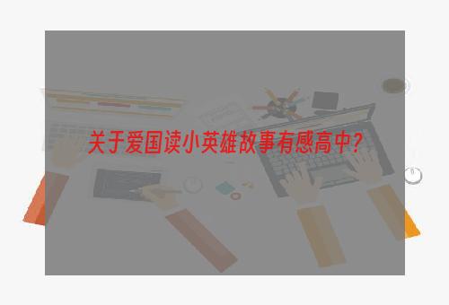 关于爱国读小英雄故事有感高中？