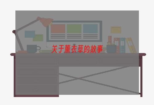 关于薰衣草的故事