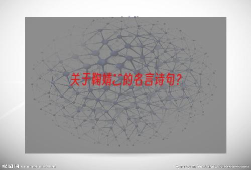 关于鞠婧祎的名言诗句？