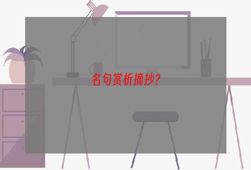 名句赏析摘抄？
