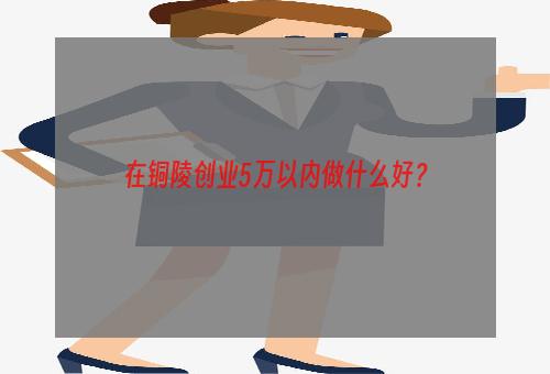在铜陵创业5万以内做什么好？