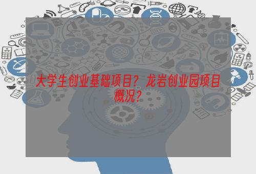 大学生创业基础项目？ 龙岩创业园项目概况？