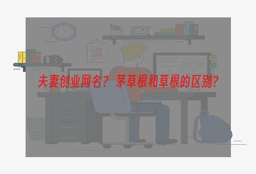 夫妻创业网名？ 茅草根和草根的区别？