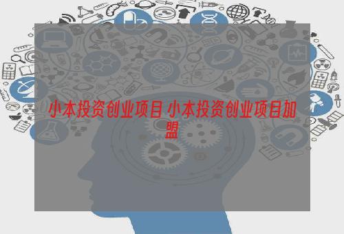 小本投资创业项目 小本投资创业项目加盟