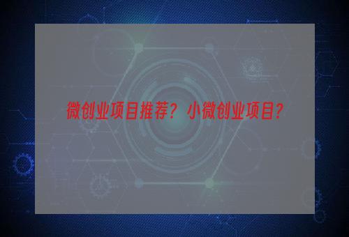 微创业项目推荐？ 小微创业项目？