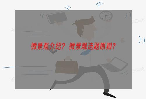 微景观介绍？ 微景观选题原则？