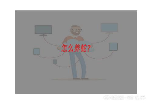 怎么养蛇？