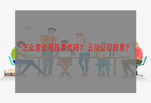 怎么查公司股票代码？ 云川公司股票？