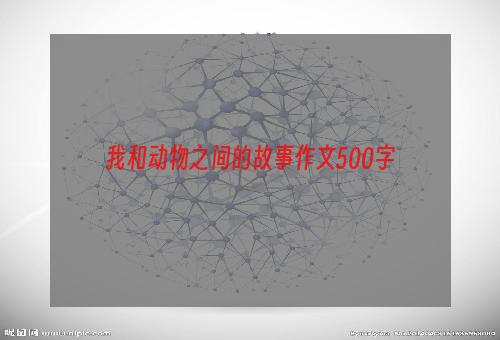 我和动物之间的故事作文500字
