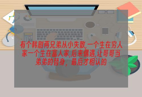 有个韩剧两兄弟从小失散,一个生在穷人家一个生在富人家,后来偶遇,让哥哥当弟弟的替身，最后才相认的