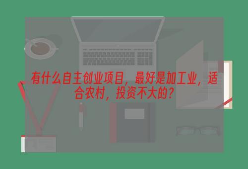 有什么自主创业项目，最好是加工业，适合农村，投资不大的？