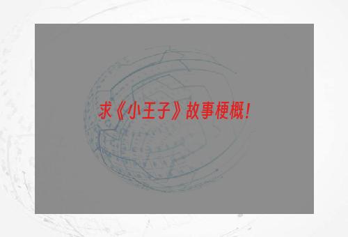 求《小王子》故事梗概！