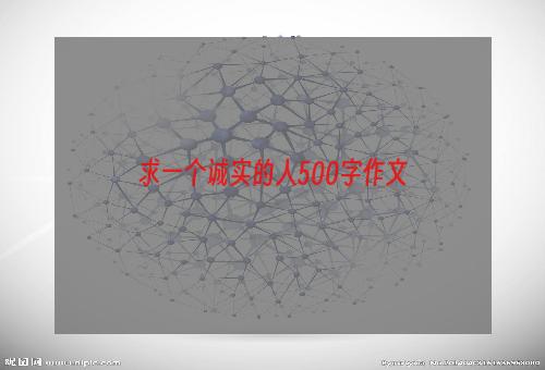 求一个诚实的人500字作文
