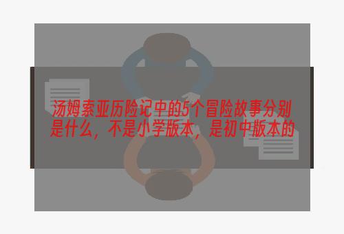 汤姆索亚历险记中的5个冒险故事分别是什么，不是小学版本，是初中版本的
