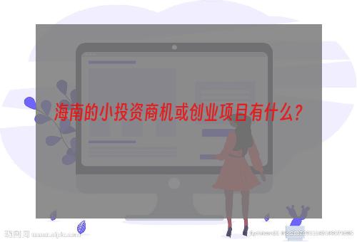 海南的小投资商机或创业项目有什么？