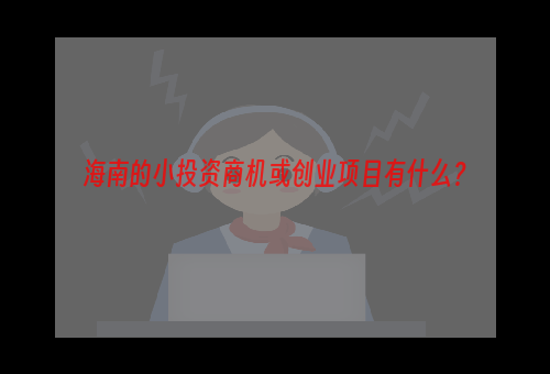 海南的小投资商机或创业项目有什么？