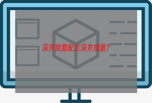 深井烧鹅配方深井烧鹅？