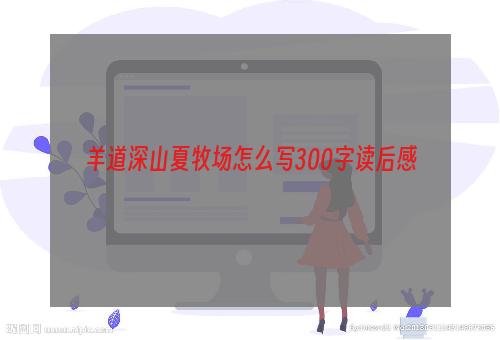 羊道深山夏牧场怎么写300字读后感