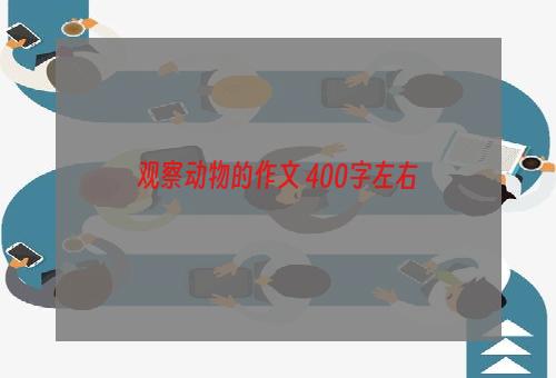 观察动物的作文 400字左右