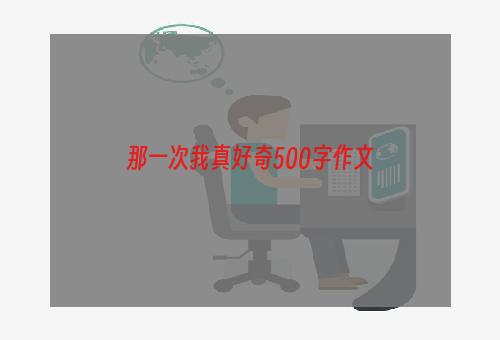 那一次我真好奇500字作文