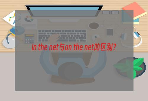 in the net与on the net的区别？